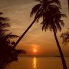 sam_6944_800x600
